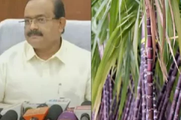 பொங்கல் தொகுப்பில் முழுக்கரும்பு - தமிழக அரசு அதிரடி அறிவிப்பால் விவசாயிகள் மகிழ்ச்சி