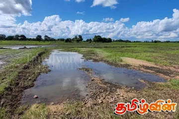 வெள்ளத்தினால் பாதிக்கப்பட்ட விவசாயிகளுக்கு நட்ட ஈடு