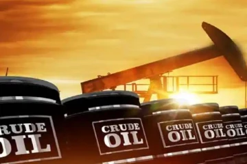 கச்சா எண்ணெய்க்கு தடை விதித்தால் இது தான் கதி: எச்சரித்த ரஷ்யா