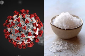 Corona-வில் இருந்து தப்பிக்க  இந்த ஒரு பொருள் ஒன்றே போதும்!