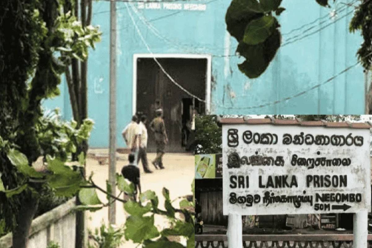 நீர்கொழும்பு சிறையில் கைதிகள் குழுக்களுக்கு இடையே ஏற்பட்ட பதற்றம் கட்டுப்பாட்டுக்குள் ...! | Negombo Prison Attack Important Announcement