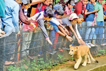 சாதனை வருமானத்தை ஈட்டிய தெஹிவளை பூங்கா