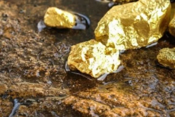 நாட்டின் பல இடங்களில் தங்கம் உள்ளிட்ட அரிய வகை உலோகங்கள்! செல்வந்த நாடாக மாறவுள்ள இலங்கை