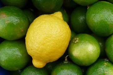 ஏலத்தில் 35,000 ரூபாய்க்கு விற்கப்பட்ட ஒரு எலுமிச்சம்பழம்! எங்கு தெரியுமா?