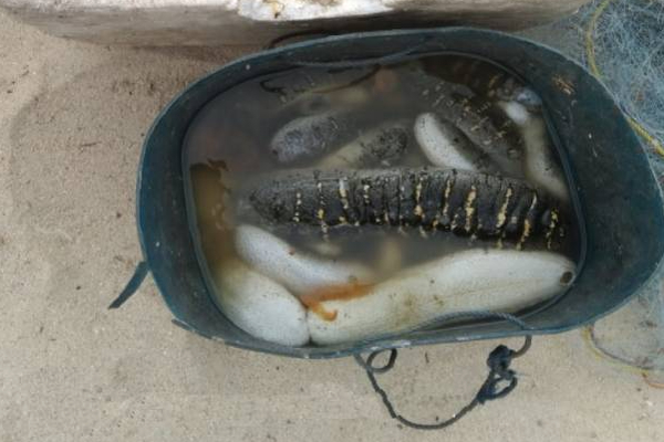 யாழ்ப்பாணத்தில் இரண்டு மீனவர்கள் அதிரடி கைது! | Two Sri Lankan Fishermen Arrested In Jaffna