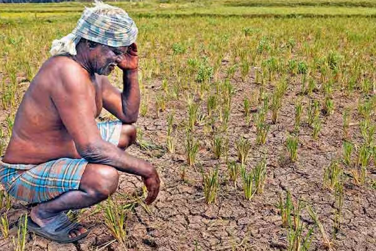 பெரும்போகப் பயிர்ச்செய்கை பாதிக்கப்படும் ; நீர் சிக்கன பயன்பாட்டுக்கு வலியுறுத்தல் | Cropping Affected Emphasis On Water Conservation