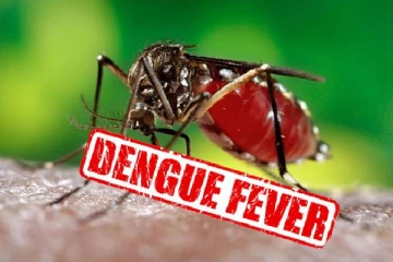 நாட்டில் அதிகரித்துள்ள டெங்கு நோயாளர்களின் எண்ணிக்கை - சுகாதாரப்பிரிவு எச்சரிக்கை