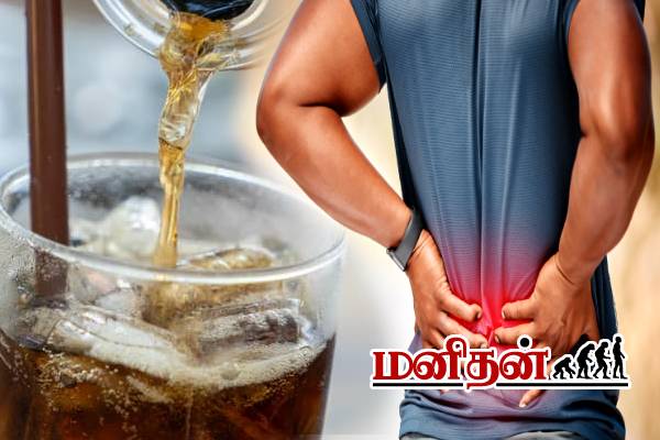 அடிக்கடி Back Pain வருதா? அப்போ இந்த உணவுகளை உடனே நிறுத்துங்க | Back Pain Avoid These Inflammatory Foods In Tamil