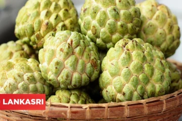 சீத்தாப்பழத்தை தொடர்ந்து உண்டு வந்தால் கிடைக்கும் நன்மைகள் என்ன?