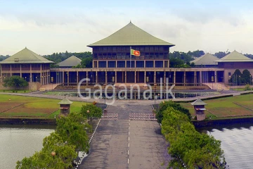 පාර්ලිමේන්තුව තුළ සිදු වූ අනතුරකින් පොලිස් නිලධාරියෙකුට තුවාලයි.