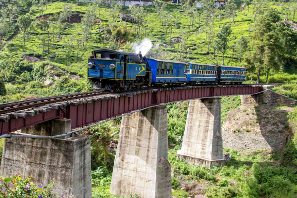 தமிழ்நாட்டில் ஓடும் இந்தியாவின் மிக மெதுவான ரயில் - எங்கே தெரியுமா? | Indias Slowest Train Runs In Tamilnadu Nilgiri