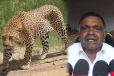 நுவரெலியாவில் சிறுத்தைகளின் நடமாட்டத்தினை தடுக்க நடவடிக்கை எடுக்குமாறு வலியுறுத்து