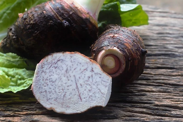 சேப்பங்கிழங்கு சாப்பிட்டால் சாகும் வரை கண் கோளாறுகள் நெருங்கவே நெருங்காது | Health Benefits Of Taro Root