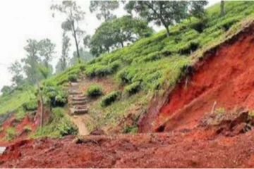 தொடர்ச்சியான மழையால் பல பகுதிகளில் மண்சரிவு