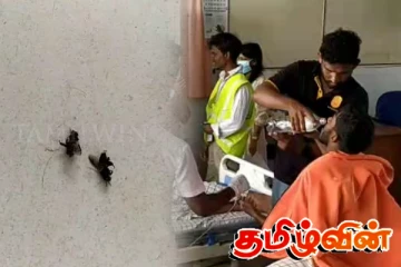 குளவி கொட்டுக்கு இலக்காகிய ருஹூணு பல்கலை மாணவர்கள்