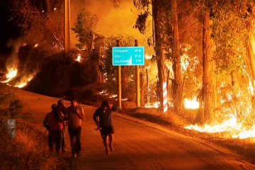 தென் அமெரிக்காவில் தீக்கிரையான 700 ஹெக்டேர் வனப்பகுதி!