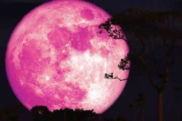 நாளை வானில் தோன்றும் Pink Moon எனும் அதிசயம்: வெறும் கண்களால் பார்க்கலாம்