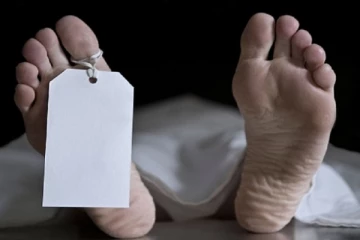 கனடாவில் இருந்து வந்த நபர் திடீரென கீழே விழுந்து உயிரிழப்பு! - தெல்லிப்பழையில் சம்பவம்
