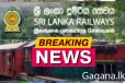 දැන් නම් වැලේ වැල් නැතිවෙයි. - සේවයට වාර්තා නොකළ සියළුම දුම්රිය සේවකයින් ගැන හදිසි තීරණයක් ගනී.
