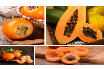 ஆரோக்கியத்தை மேம்படுத்தும் ஆரஞ்சு நிற பழங்கள் - இதை கண்டிப்பா நோட் பண்ணுங்க!