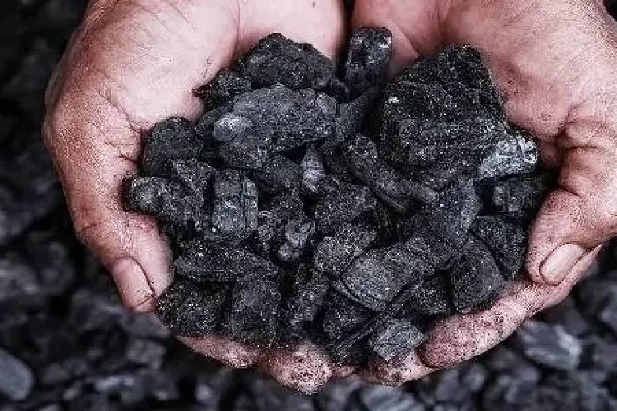 அரசுக்கு1.4 பில்லியன் இழப்பு: நாடாளுமன்றத்தில் அம்பலமான தகவல் | Government Incurs 1 4 Billion Los Substandard Coal அரசுக்கு1.4 பில்லியன் இழப்பு: நாடாளுமன்றத்தில் அம்பலமான தகவல் | Government Incurs 1 4 Billion Los Substandard Coal