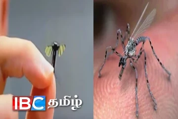 சத்தமே இல்லாமல் சீன விஞ்ஞானிகளின் அசத்தல் கண்டுபிடிப்பு