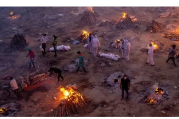 நாய்களுக்கான சுடுகாட்டில் உடல்களை தகனம் செய்ய முடிவு! பேரவலத்தின் உச்சியில் டெல்லி: வேதனையில் மக்கள்