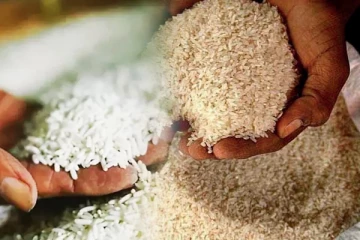 தரக்குறைவான அரிசி தொடர்பில் உடனடி விசாரணை: நாடாளுமன்றில் கோரிக்கை