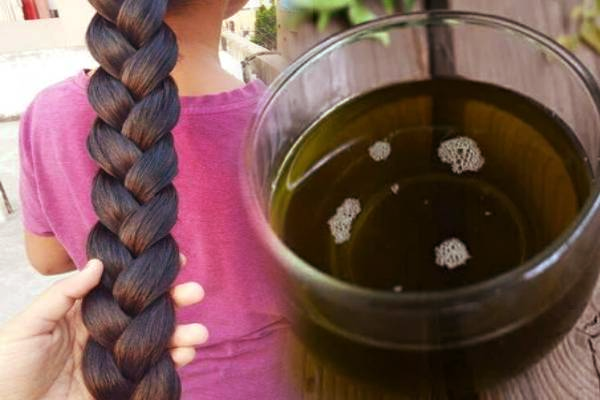 கரு கரு நீண்ட கூந்தலுக்கு - இந்த ரகசிய எண்ணெய் செய்து 3 முறை போடுங்க | Hair Care Secrets Oil Apply 3 Times A Week கரு கரு நீண்ட கூந்தலுக்கு - இந்த ரகசிய எண்ணெய் செய்து 3 முறை போடுங்க | Hair Care Secrets Oil Apply 3 Times A Week