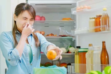 உங்க வீட்டுல ஃபிரிட்ஜ் இருக்கின்றதா? இந்த பதிவு உங்களுக்கே