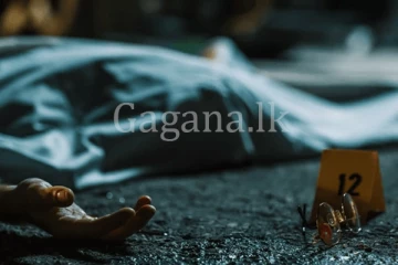 නාඳුනන මළ සිරුරු දෙකක්. - බලන්න මේ වයස් වල දෙන්නෙක් ගැන ඔබත් දන්නවද කියලා.