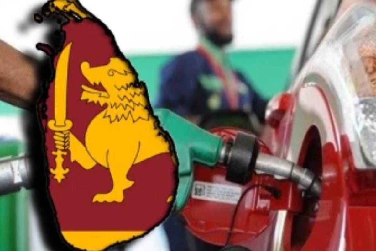 இலங்கை பொருளாதாரத்தில் ஏற்பட்டுள்ள பாரிய தாக்கம்! ஜனாதிபதி விடுத்துள்ள முக்கிய கோரிக்கை | President Requests To Use Fuel Sparingly