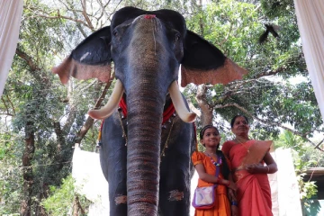 கோயில் சடங்குகளை செய்ய 'ரோபோ' யானை! முதல்முறையாக கேரளாவில் அறிமுகம்