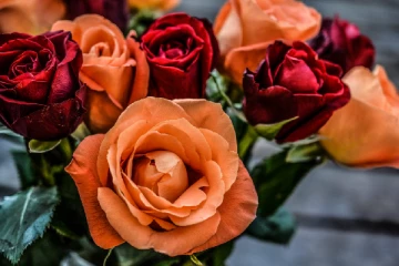 ரூ.600 .. காதலர் தினத்தில் காதலர்களை சோகமாக்கிய ரோஜாக்கள்