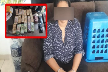 ஜப்பானில் வேலைவாய்ப்பு : 100 கோடியை சுருட்டிய பெண் கைது..!