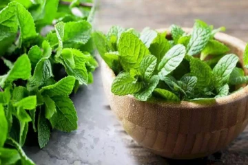 அனைத்து மருத்துவ பயன்களையும் அள்ளித்தரும் புதினா இலை: எத்தனை நன்மைகள் தெரியுமா?