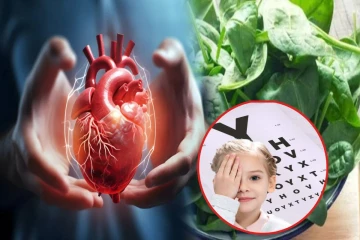 இதய ஆரோக்கியம் முதல் கண்பார்வை வரை.. அற்புதம் செய்யும் பசலை கீரை! இப்படி சாப்பிடுங்க