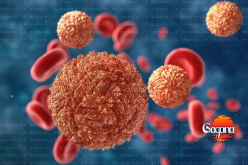 මාරාන්තික ලෙඩක් හිස ඔසවයි - ජනතාව ප්‍රවේශම් වන්න