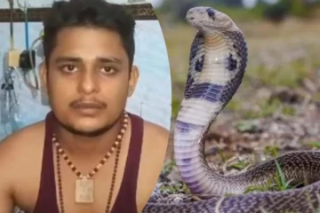 இளைஞரை 40 நாளில் 7 முறை கடித்த பாம்பு! சனிக்கிழமை மட்டுமே டார்க்கெட்... உண்மை என்ன?