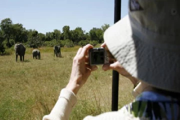 யானையின் தாக்குதலுக்கு இலக்காகி இரு வெளிநாட்டு சுற்றுலாப் பயணிகள் உயிரிழப்பு!