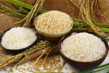 அதிக விலைக்கு அரிசி விற்பனை ; வர்த்தக நிலையத்திற்கு ரூ.5 இலட்சம் அபராதம்