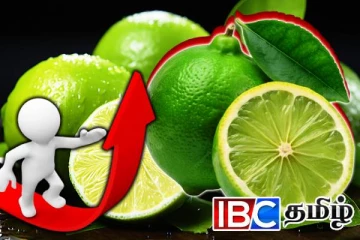 நாட்டில் உச்சத்தை தொட்ட தேசிக்காய் விலை