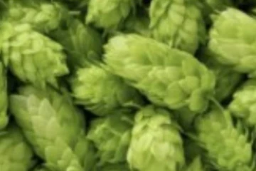 ஒரு கிலோ காய்கறி ரூ.85000..அப்படி என்ன காய்கறி அது?