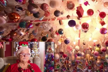 கிறிஸ்மஸ் அலங்கார ஆபரணங்கள் சேகரிப்பில் கின்னஸ் சாதனை படைத்த இங்கிலாந்து பெண்