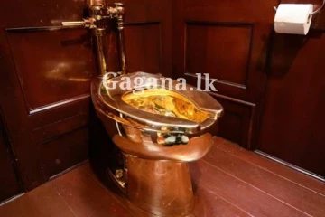 රත්තරන් වැසිකිළිය සොරා ගත්තාට ලැබුණ දඬුවම.. (PHOTOS)