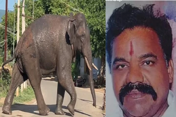 ஊரைச் சுற்றிய எமன்…அரிசி கொம்பன் யானை தாக்கி ஒருவர் உயிரிழப்பு