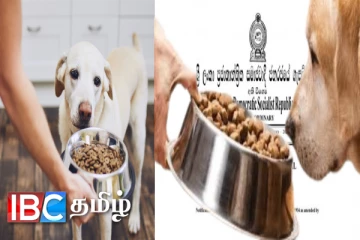 நாய்களுக்கு உணவளிப்பதை உடன் நிறுத்துங்கள் : அரசு நிறுவனங்களுக்கு வருகிறது சுற்றறிக்கை