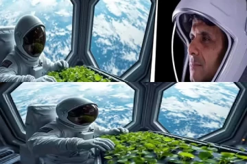 விண்வெளியில் சுபான்ஷ் சுக்லா வெந்தயம், பச்சை பயிறு விவசாயம்