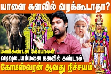 கனவில் யானை வந்தால் என்ன நடக்கும் தெரியுமா?