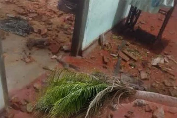 யாழ். வீடொன்றின் மீது முறிந்து விழுந்த பனைமரம்